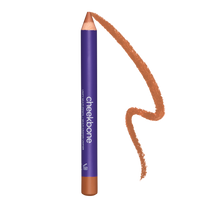Unify Complexion Multi-Pencil