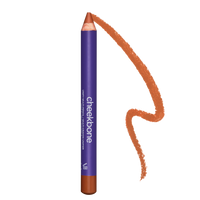 Unify Complexion Multi-Pencil
