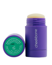Restorative Barrier Serum Stick