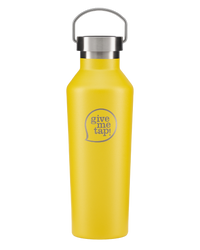 500ml Insulated Bottle